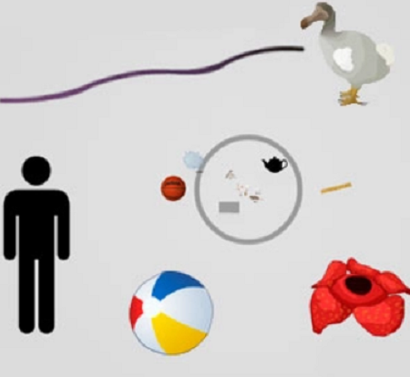 Play Scale of the Universe 2 online - Children's Experiments for Science Games browser game thumbnail